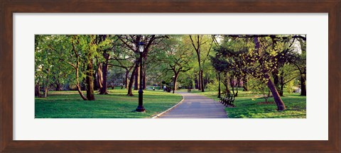 Framed Trees in a public park, Central Park, Manhattan, New York City, New York State, USA Print