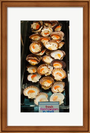 Framed Tasmanian oysters for sell in the Central Market, Adelaide, South Australia, Australia Print