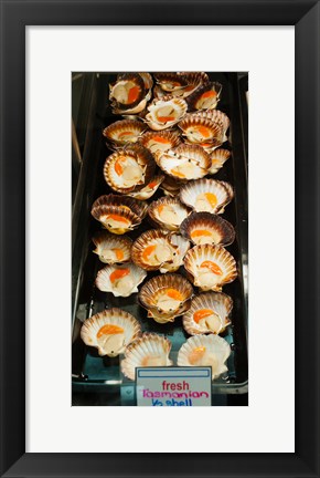 Framed Tasmanian oysters for sell in the Central Market, Adelaide, South Australia, Australia Print