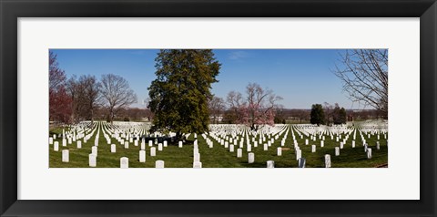 Framed Headstones in a cemetery, Arlington National Cemetery, Arlington, Virginia, USA Print