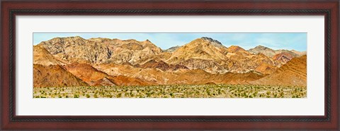 Framed Bushes in a desert with mountain range in the background, Death Valley, Death Valley National Park, California Print