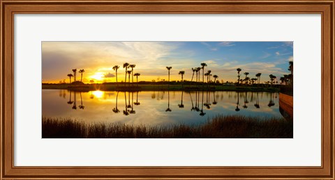 Framed Reflection of trees in water at sunset, Lake Worth, Palm Beach County, Florida, USA Print