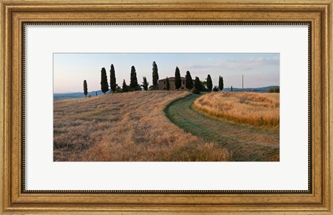 Framed Road leading towards a farmhouse, Val d&#39;Orcia, Tuscany, Italy Print