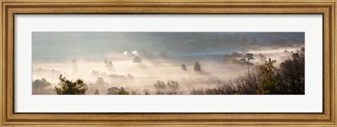 Framed Misty morning valley, Uley, Gloucestershire, England Print