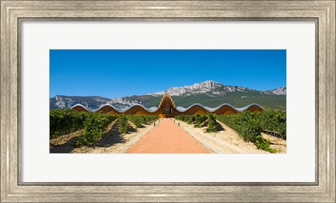 Framed Bodegas Ysios winery building and vineyard, La Rioja, Spain Print