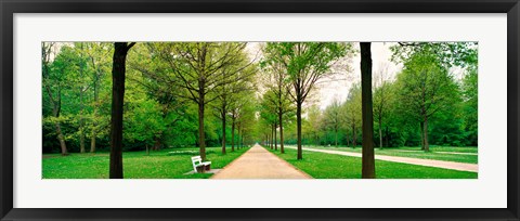 Framed Tree-lined road Hessen Kassel vicinity Germany Print