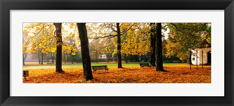 Framed Park Bavaria Germany Print