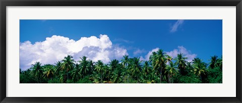 Framed Maldives with Clouds Print