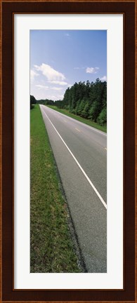 Framed Trees along the road, Alabama State Route 113, Alabama, USA Print