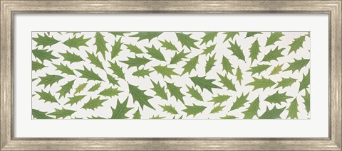 Framed Pattern of Hollies Print