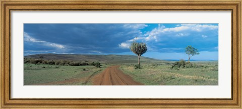 Framed Masai Mara Game Reserve Kenya Print