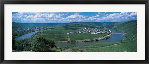 Framed Vineyard Moselle River Germany Print