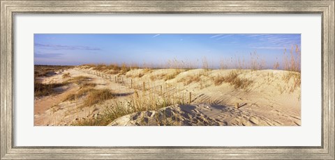 Framed Sand dunes on the beach, Anastasia State Recreation Area, St. Augustine, St. Johns County, Florida, USA Print