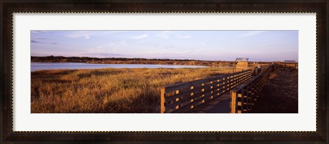 Framed Boardwalk in a state park, Myakka River State Park, Sarasota, Sarasota County, Florida, USA Print