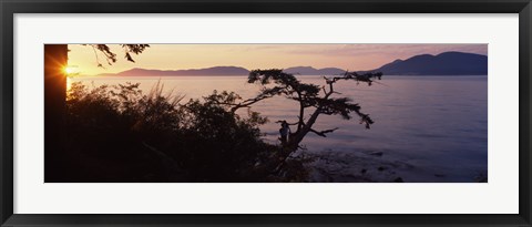 Framed Silhouette of trees at seaside, Rosario Strait, San Juan Islands, Washington State, USA Print
