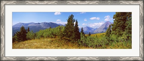 Framed Trees with mountains in the background, Looking Glass, US Glacier National Park, Montana, USA Print
