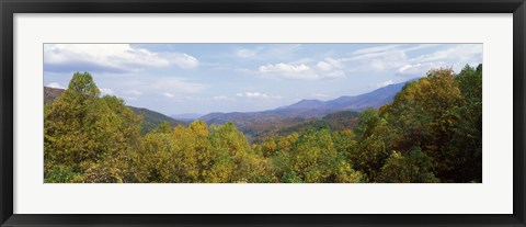 Framed View from River Road, Great Smoky Mountains National Park, North Carolina, Tennessee, USA Print