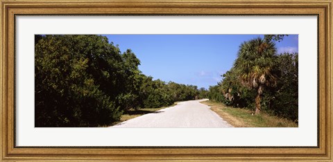 Framed Road passing through Ding Darling National Wildlife Refuge, Sanibel Island, Lee County, Florida, USA Print