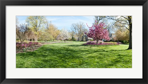 Framed Trees in a Garden, Sherwood Gardens, Baltimore, Maryland Print