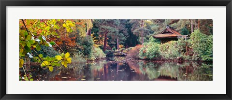 Framed Japanese Garden in autumn, Tatton Park, Cheshire, England Print