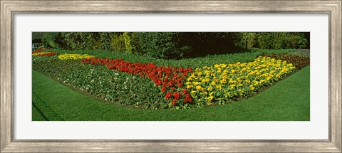 Framed Flowers in St. James&#39;s Park, City of Westminster, London, England Print