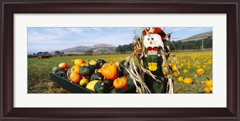 Framed Scarecrow in Pumpkin Patch, Half Moon Bay, California (horizontal) Print