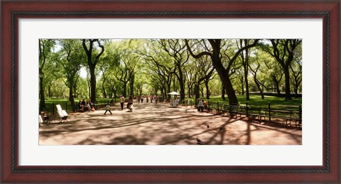 Framed Central Park, New York City, New York State Print