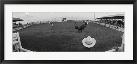 Framed Cowboy riding bull at rodeo arena, Pecos, Texas, USA Print