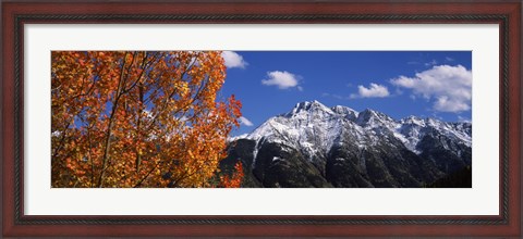 Framed Autumn Trees and snowcapped mountains, Colorado Print
