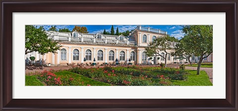 Framed Garden outside a palace, Peterhof Grand Palace, St. Petersburg, Russia Print