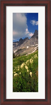 Framed Beargrass with Mountains, Glacier National Park, Montana Print