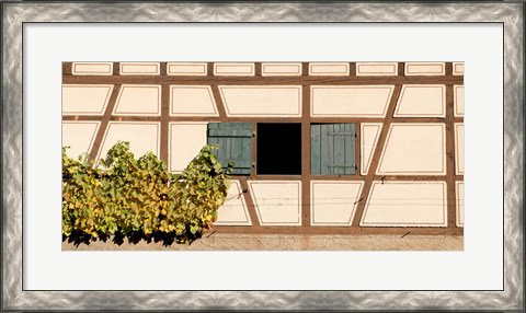 Framed Detail of half timber house and grape vines, Strumpfelbach, Baden-Wurttemberg, Germany Print