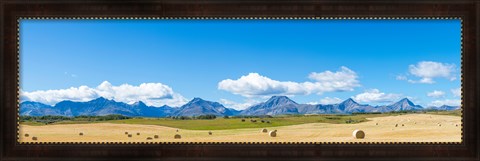 Framed Hay bales in a field with Canadian Rockies in the background, Alberta, Canada Print