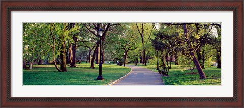 Framed Trees in a public park, Central Park, Manhattan, New York City, New York State, USA Print
