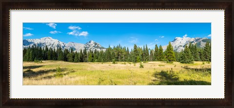 Framed Trees with mountain range in the background, Banff National Park, Alberta, Canada Print