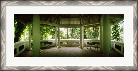 Framed Canopy in the botanical garden, Jardim Botanico, Zona Sul, Rio de Janeiro, Brazil Print