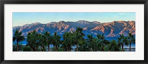 Framed Palm trees with mountain range in the background, Furnace Creek Inn, Death Valley, Death Valley National Park, California, USA Print