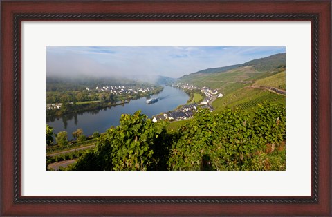 Framed Vineyards with village at riverfront, Mosel River, Kaimt Mosel Village, Mosel Valley, Rhineland-Palatinate, Germany Print