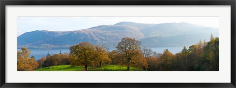 Framed Autumn trees with mountains in background, Derwent Water, Lake District National Park, Cumbria, England Print