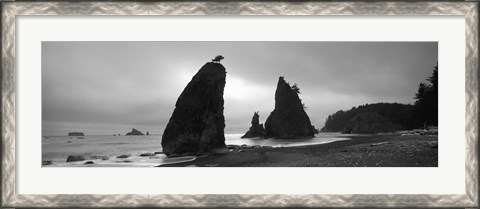 Framed Silhouette of seastacks at sunset, Olympic National Park, Washington State (black and white) Print