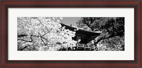 Framed Golden Gate Park, Japanese Tea Garden (black &amp; white) Print