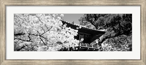 Framed Golden Gate Park, Japanese Tea Garden (black &amp; white) Print