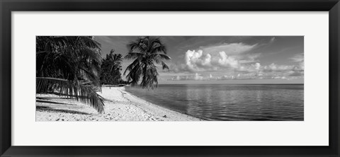 Framed Palm trees on the beach, Matira Beach, Bora Bora, French Polynesia Print