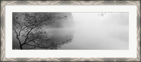 Framed Reflection of trees in a lake, Lake Vesuvius, Wayne National Forest, Ohio, USA Print