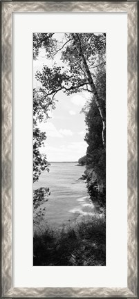 Framed Trees at the lakeside in black and white, Lake Michigan, Wisconsin Print