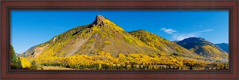 Framed Aspen trees on mountain, Anvil Mountain, Million Dollar Highway, Silverton, Colorado, USA Print