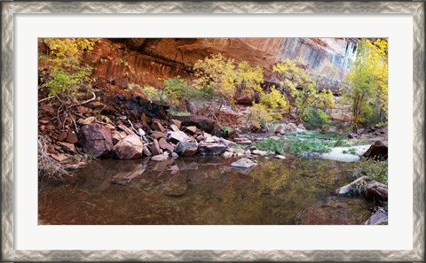 Framed Reflecting pond in Zion National Park, Springdale, Utah, USA Print