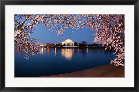 Framed Cherry Blossom Tree with Jefferson Memorial, Washington DC Print