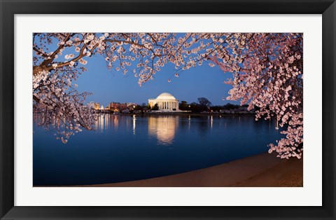 Framed Cherry Blossom Tree with Jefferson Memorial, Washington DC Print