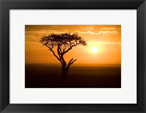 Framed Silhouette of tree at dusk, Tanzania Print